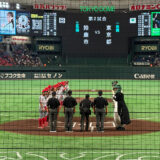 無花果や裂けて大人は野球せり － 都市対抗野球2026