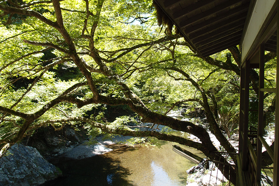スカートで夏の京都の大冒険／その１　神護寺・清滝・保津峡めぐり、うっかり「阿吽」聖地巡礼の旅